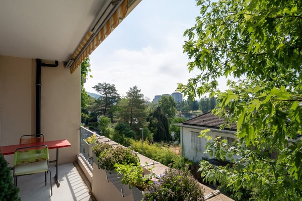 Zwischen Baumkronen und Rhein – 4.5 Zimmer auf ca. 120 m² 2