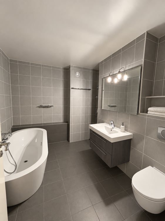 Duplex lumineux de 5 pièces avec mezzanine et balcon à Satigny 5