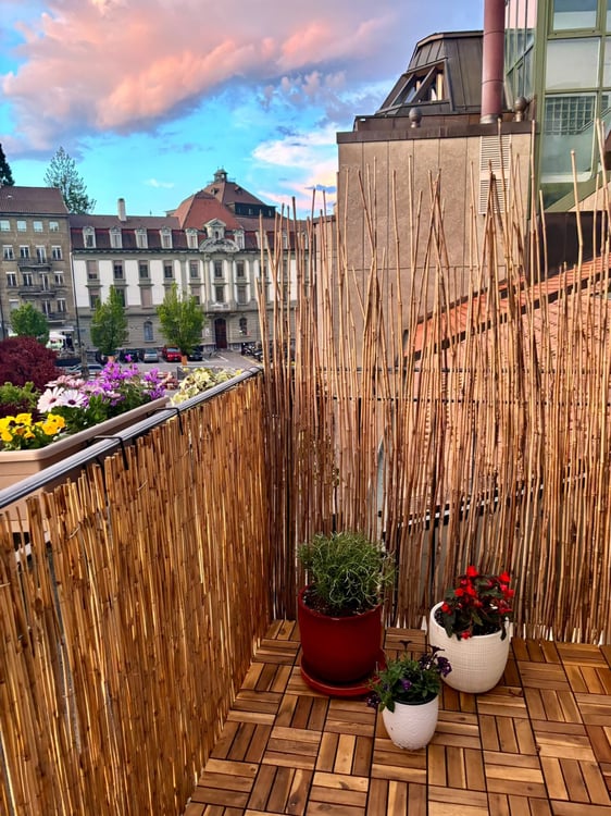 Duplex de charme & cosy, 2,5 pièces au cœur de Fribourg ! 2