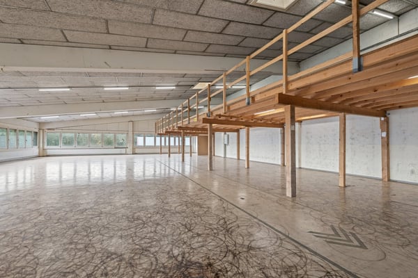 Vielseitige Industrie- und Gewerbeliegenschaft 4