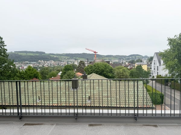 Moderne 3.5-Zimmer-Attikawohnung mit unverbaubarem Blick 11