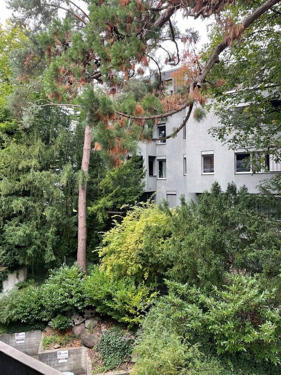 Eine neu renovierte Wohnung steht im Angebot 4