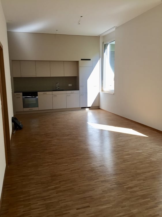 Exklusive 1.5-Zimmer-Wohnung beim Limmatplatz 2