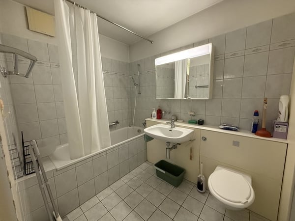 Schmucke 1-Zimmerwohnung mit grossem Balkon 3