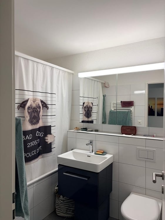 Attraktive 2.5- Zimmer-Wohnung mit viel Tageslicht 8