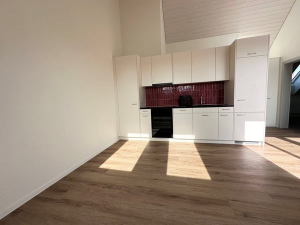 LOFTCHARME - Erstvermietung moderner Dachwohnung!! 6