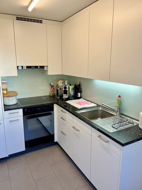 Stilvoll wohnen mit Balkon - Ihr neues Zuhause in Adliswil 3