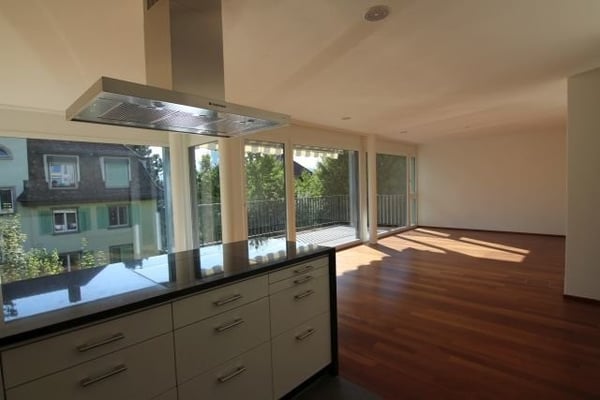Grosszügige 1.5-Zimmer-Wohnung nähe Klusplatz 4