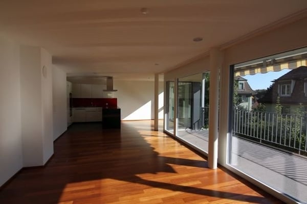 Grosszügige 1.5-Zimmer-Wohnung nähe Klusplatz 3