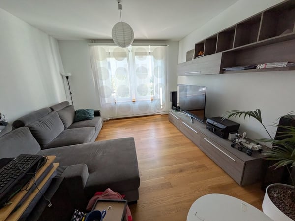 Zentrale 3 Zimmerwohnung im Binzquartier 7