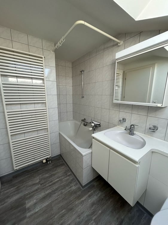 Dachwohnung mit toller Aussicht auf die Stadt Zürich zu vermieten 5