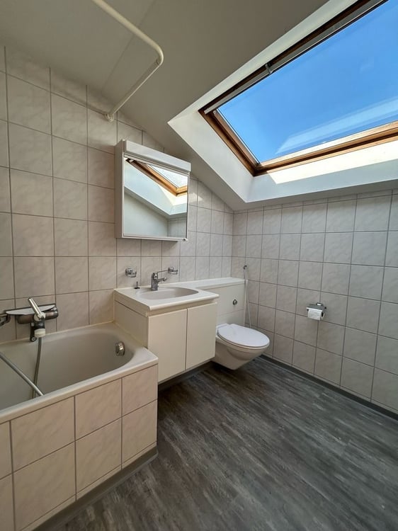 Dachwohnung mit toller Aussicht auf die Stadt Zürich zu vermieten 4