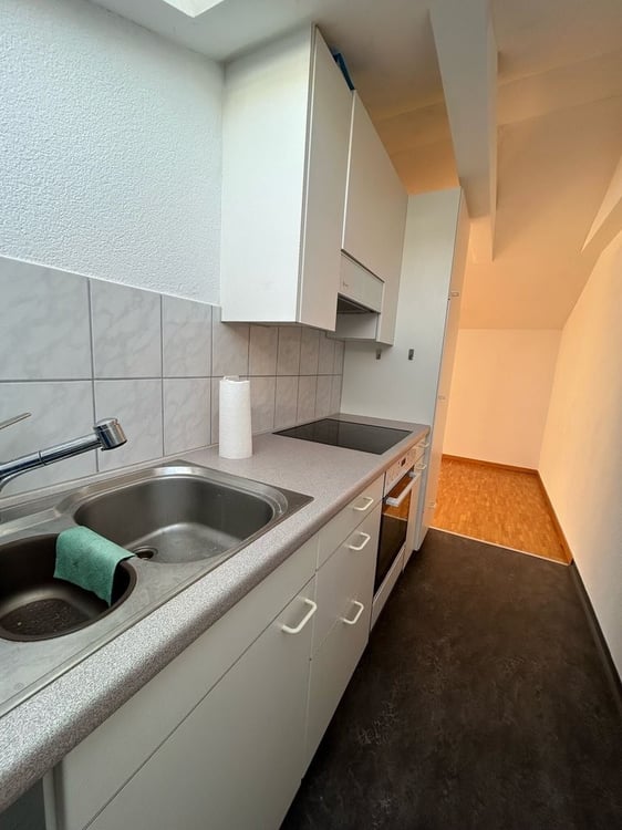 Dachwohnung mit toller Aussicht auf die Stadt Zürich zu vermieten 3