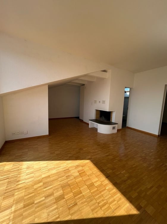 Dachwohnung mit toller Aussicht auf die Stadt Zürich zu vermieten 7