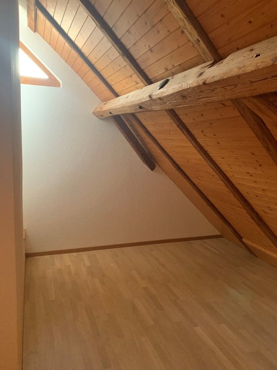 Tolle Dachwohnung mit Galerie an ruhiger Lage zu vermieten 9