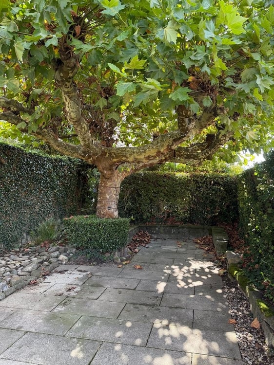 Ruhiges Wohnen mit privatem Gartensitzplatz nahe Klusplatz (Kreis 7) 10