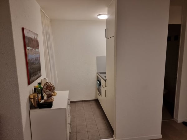 Möblierte Wohnung in Mitten von Zürich 2