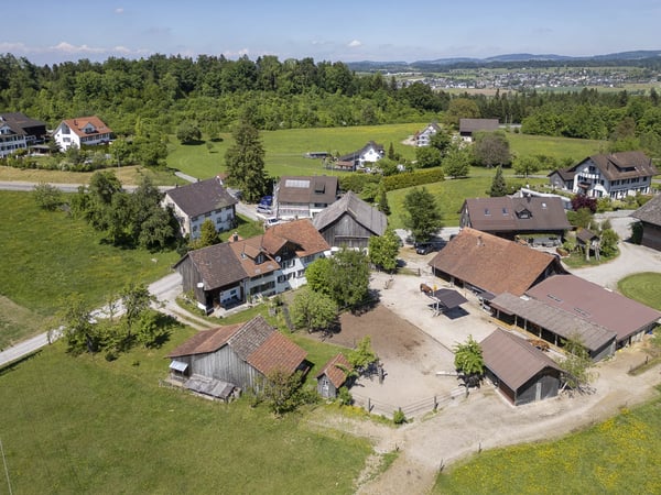 Reihenmittelhaus mit ländlichem Flair 4