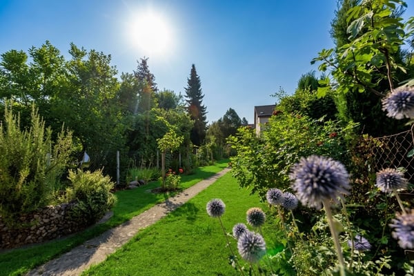 4.5-Zimmer Reiheneinfamilienhaus an idealer und ruhiger Lage 3
