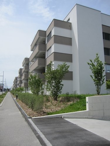 Nähe WestSide: Schöne 1.5 Zimmer-Wohnung mit schönem Sitzplatz 1