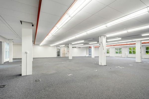 PLAZA | Gewerbefläche mit Potenzial - 350m² für Ihr Business 2
