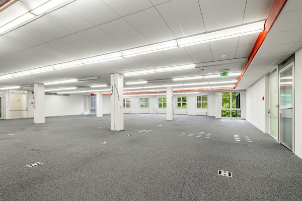 PLAZA | Gewerbefläche mit Potenzial - 350m² für Ihr Business 1