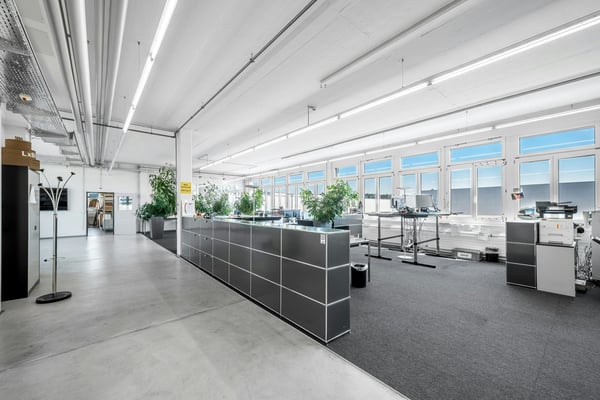 600 oder 1'300 m2 5,5 m hohe Shedhalle mit grosszügiger Anlieferung und hoher Bodenlast 10