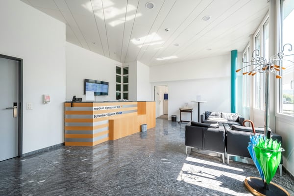 Büro- oder Gewerbefläche ab 350 m² im Althardgebiet 5
