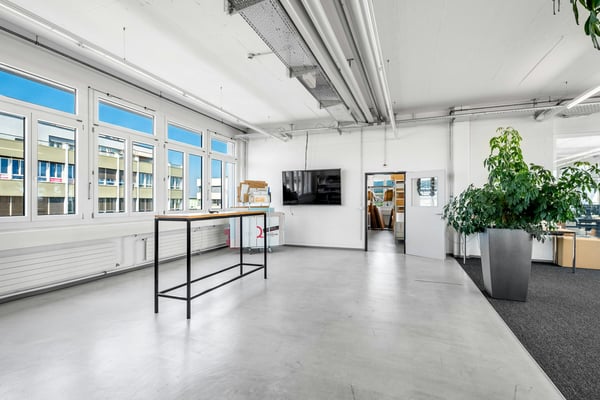 Büro- oder Gewerbefläche ab 350 m² im Althardgebiet 2