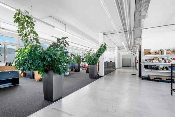 Büro- oder Gewerbefläche ab 350 m² im Althardgebiet 1