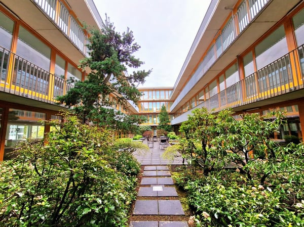 Büros, Praxis oder Showroom von 180 m2 bis 1'120 m2 mal anders: Lichtdurchflutet u. mit Pateo-Flair 5