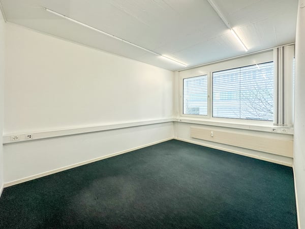 Gestalten Sie Ihre Zukunft: Top Büro- Gewerbeflächen in Allschwil 9