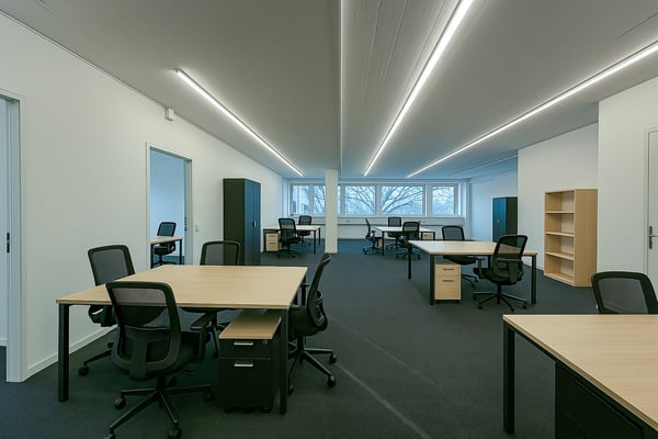 Gestalten Sie Ihre Zukunft: Top Büro- Gewerbeflächen in Allschwil 5