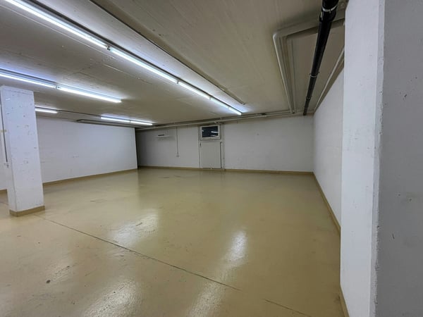 Lagerfläche mit Rampe, Warenaufzug und Wasseranschluss in Winterthur zu vermieten 6
