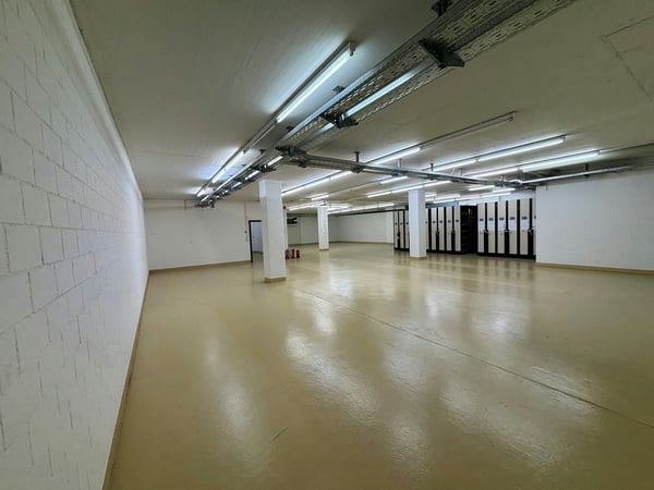 Lagerfläche mit Rampe, Warenaufzug und Wasseranschluss in Winterthur zu vermieten 4