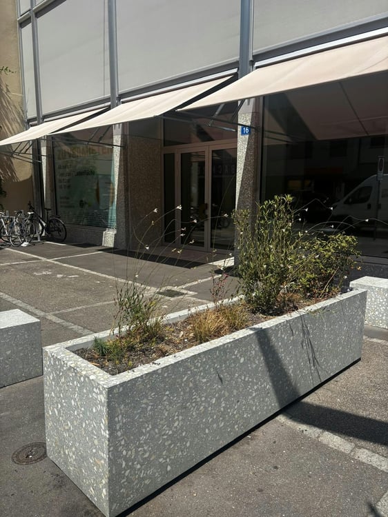 Ihre Gewerbe- Ladenfläche im St. Johann 4