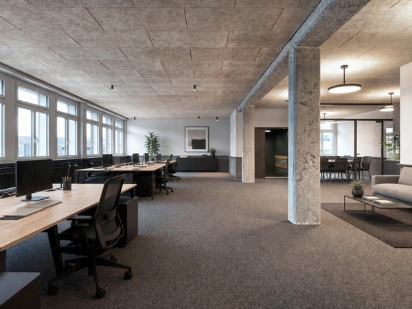 Erstbezug: Hochwertig renoviertes Büro mit grosszügiger Terrasse in Schlieren 2