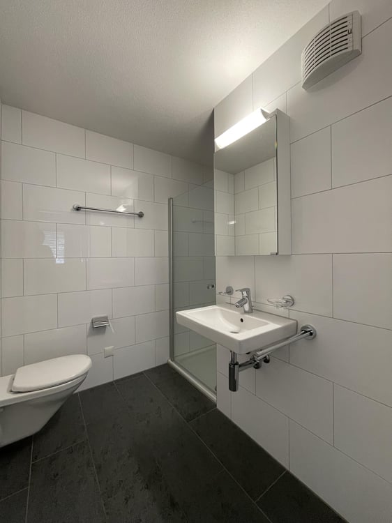 4.5 Zimmerwohnung in Sursee 6