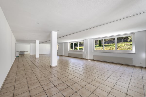 Ihre neue Gewerbeläche am linken Zürichseeufer 7