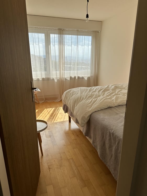 Wohnen inmitten der Rebbergen mit Blick über Zürich 4
