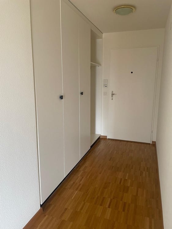 Wohnen inmitten der Rebbergen mit Blick über Zürich 5