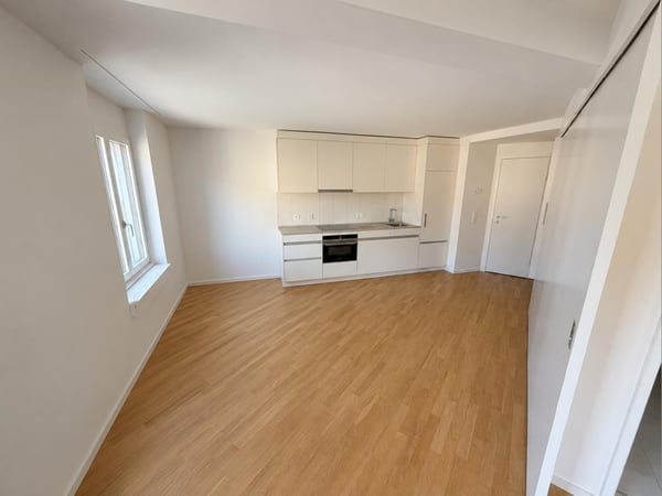 3.5 Zimmerwohnung nähe Limmatplatz 2