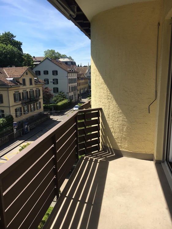 Wunderschöne Altbauwohnung mitten in Zürich 7