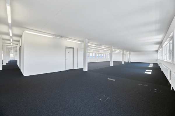 Moderne Büro- und Geschäftsflächen - Ready to move in! 3