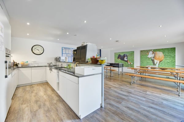 Gewerbeimmobilie mit vielseitigen Nutzungsmöglichkeiten in Oftringen! 24