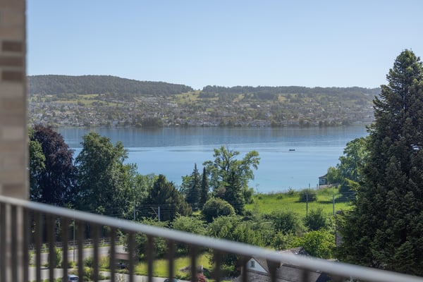 3.5 Zimmerwohnung in Au Wädenswil 1