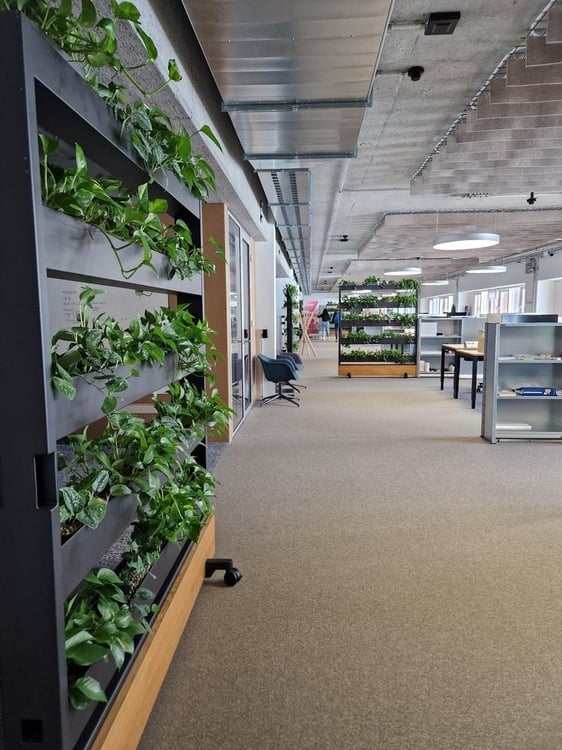 Zentral, Flexibel, Inspirierend - Dein Coworking-Platz in Schlieren! 6