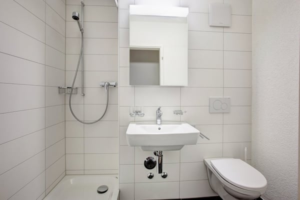 Moderne 3.5-Zimmer-Dachwohnung mit Cheminee und viel Charme. 4