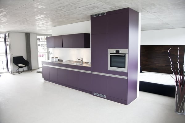 Einzigartige Loftwohnung im Zentrum von Schlieren 4