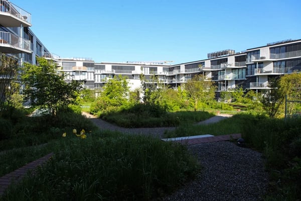 Einzigartige Loftwohnung im Zentrum von Schlieren 6